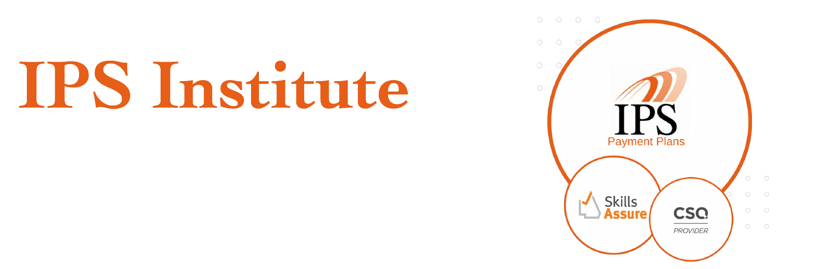 IPS Institute Funding Options
